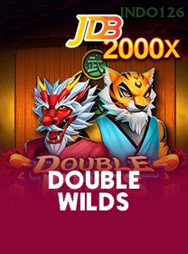 Double Wilds game cover